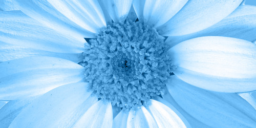 Similar image 21276452