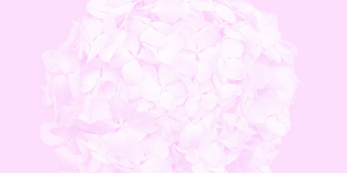 Similar image 21276453