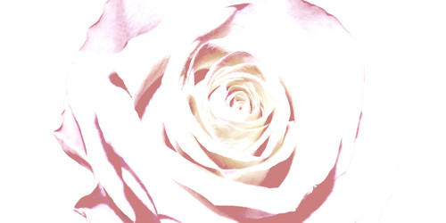 Similar image 21276456