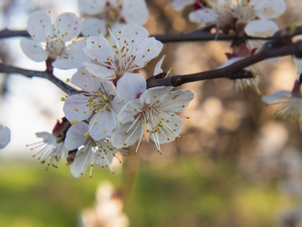 Similar image 21274836