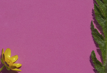 Similar image 21274837