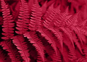 Similar image 21278690