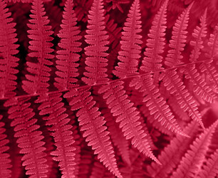 Similar image 21278694