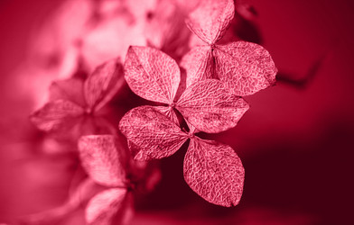 Similar image 21278708