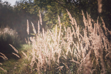 Similar image 21278712