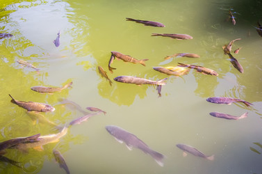 Similar image 21283497