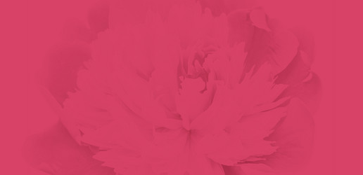 Similar image 21276597