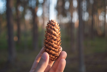 Similar image 21275200