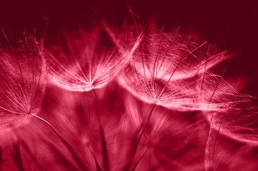 Similar image 21278648