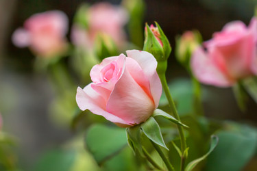 Similar image 21283239