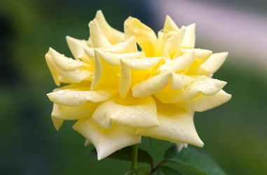 Similar image 21283241