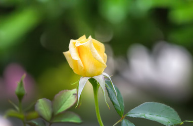 Similar image 21283501