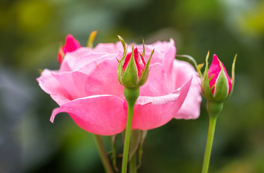 Similar image 21283504