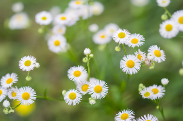 Similar image 21283505