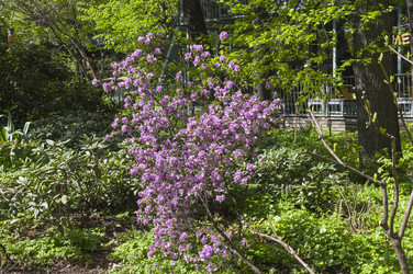 Similar image 21275775