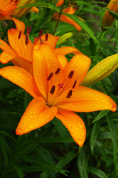 Similar image 21275777