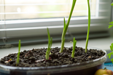 Similar image 21277808