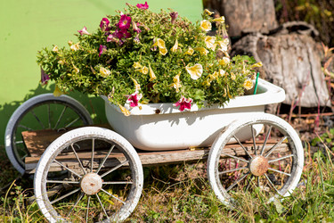 Similar image 21277809