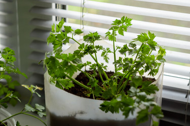 Similar image 21277814