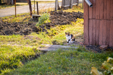 Similar image 21277815