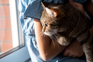 Similar image 21277818