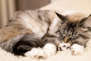 Similar image 21277820