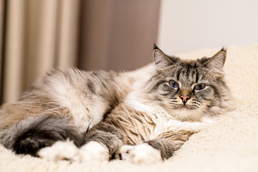 Similar image 21277821