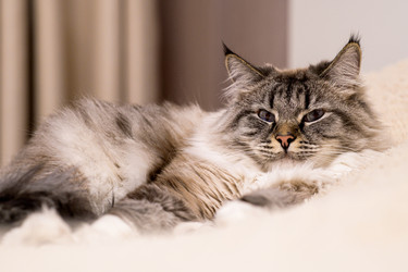 Similar image 21277822