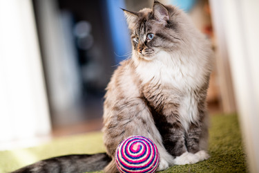 Similar image 21277823