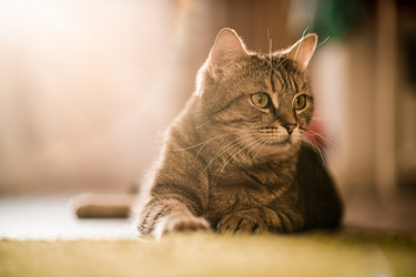 Similar image 21277824