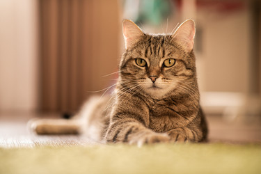 Similar image 21277825