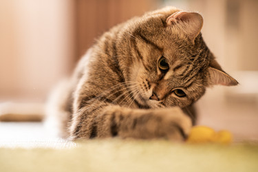 Similar image 21277826