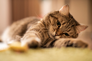 Similar image 21277828