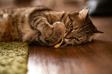 Similar image 21277830