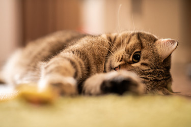 Similar image 21277832