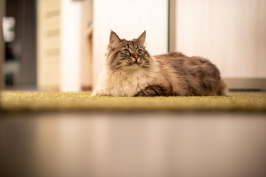 Similar image 21277833