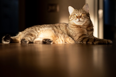 Similar image 21277834