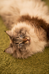 Similar image 21277835