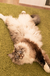 Similar image 21277836