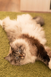 Similar image 21277839