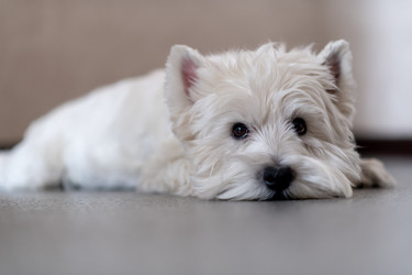 Similar image 21277844