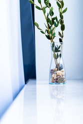 Similar image 21277847