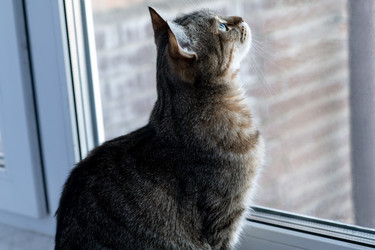 Similar image 21277860