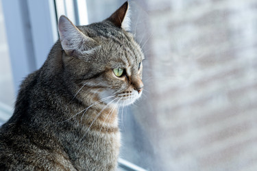 Similar image 21277862