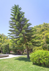 Similar image 21282990