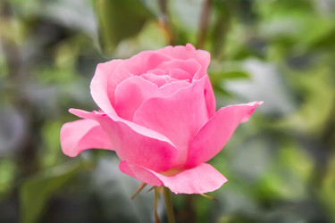 Similar image 21283097