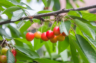 Similar image 21283099