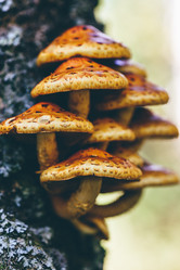 Similar image 21277031