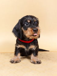 Similar image 21291892