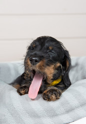 Similar image 21291894